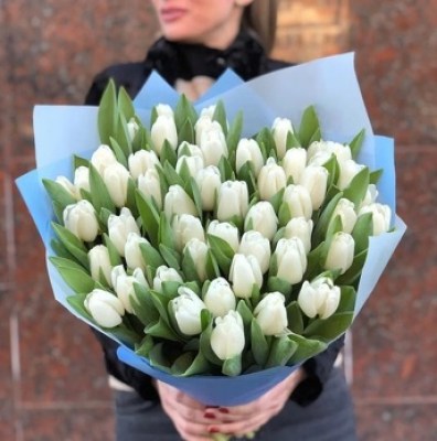 51 white tulip